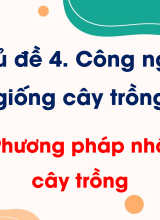 CN Trồng trọt - Bài 11. Phương pháp nhân giống cây trồng